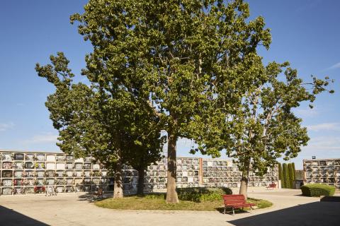 Cementerio VIladecans